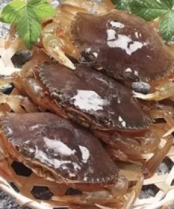Cua lột