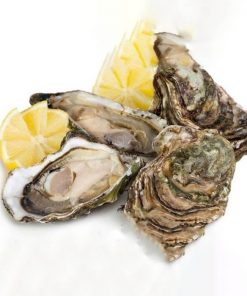 Hàu