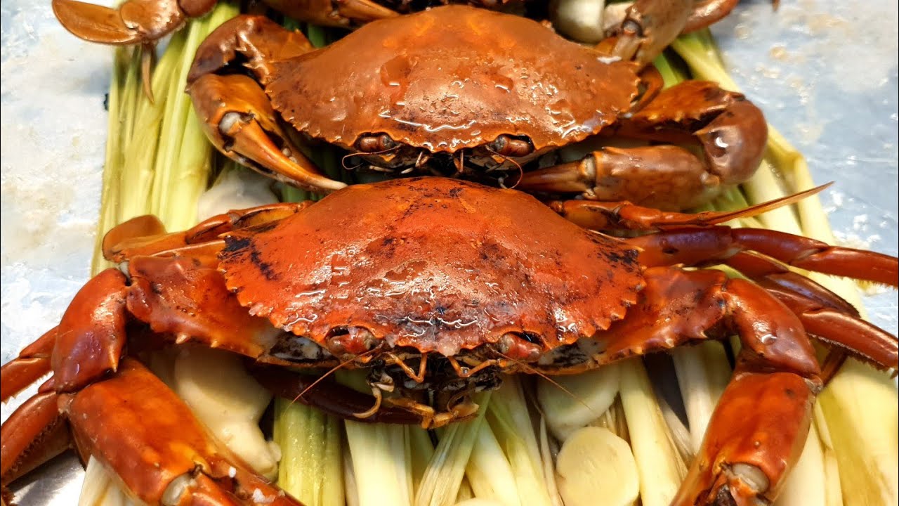Món ngon từ Cua