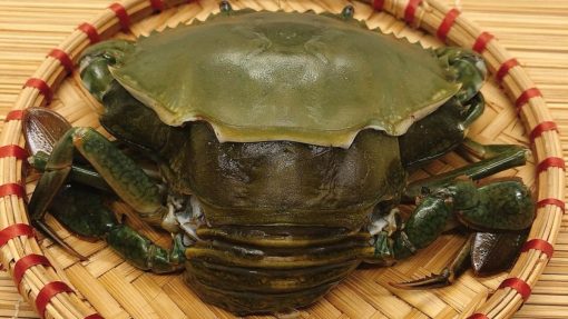 Cua cốm lột