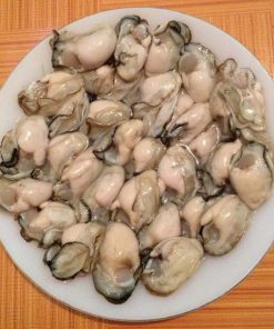Hàu ruột