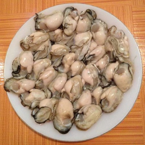 Hàu ruột