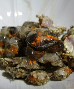 Rạm làm sẵn