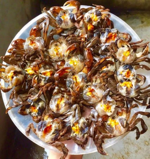 Rạm làm sẵn